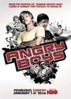 Angry Boys (2011)2.jpg
